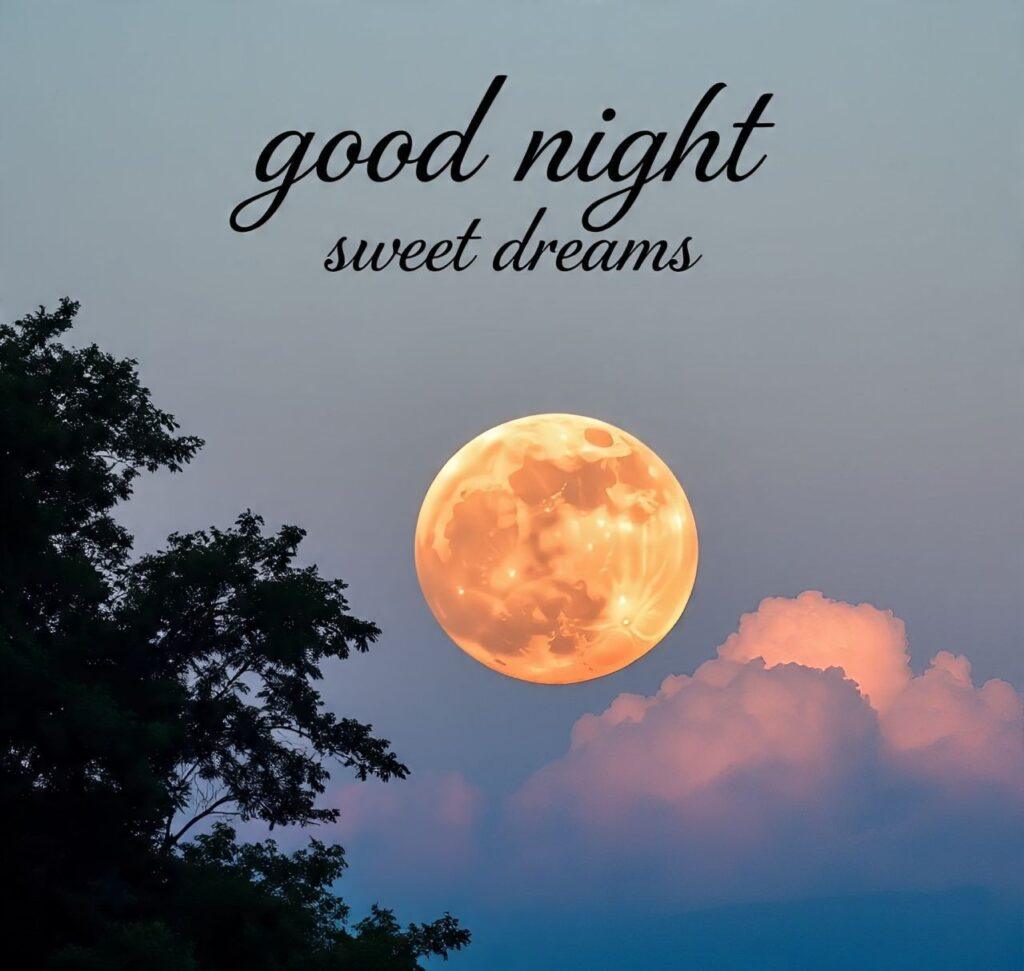 beutful moon telling good night